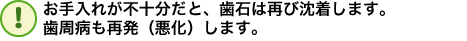 お手入れが不十分だと、歯石は再び沈着します。歯周病も再発（悪化）します。